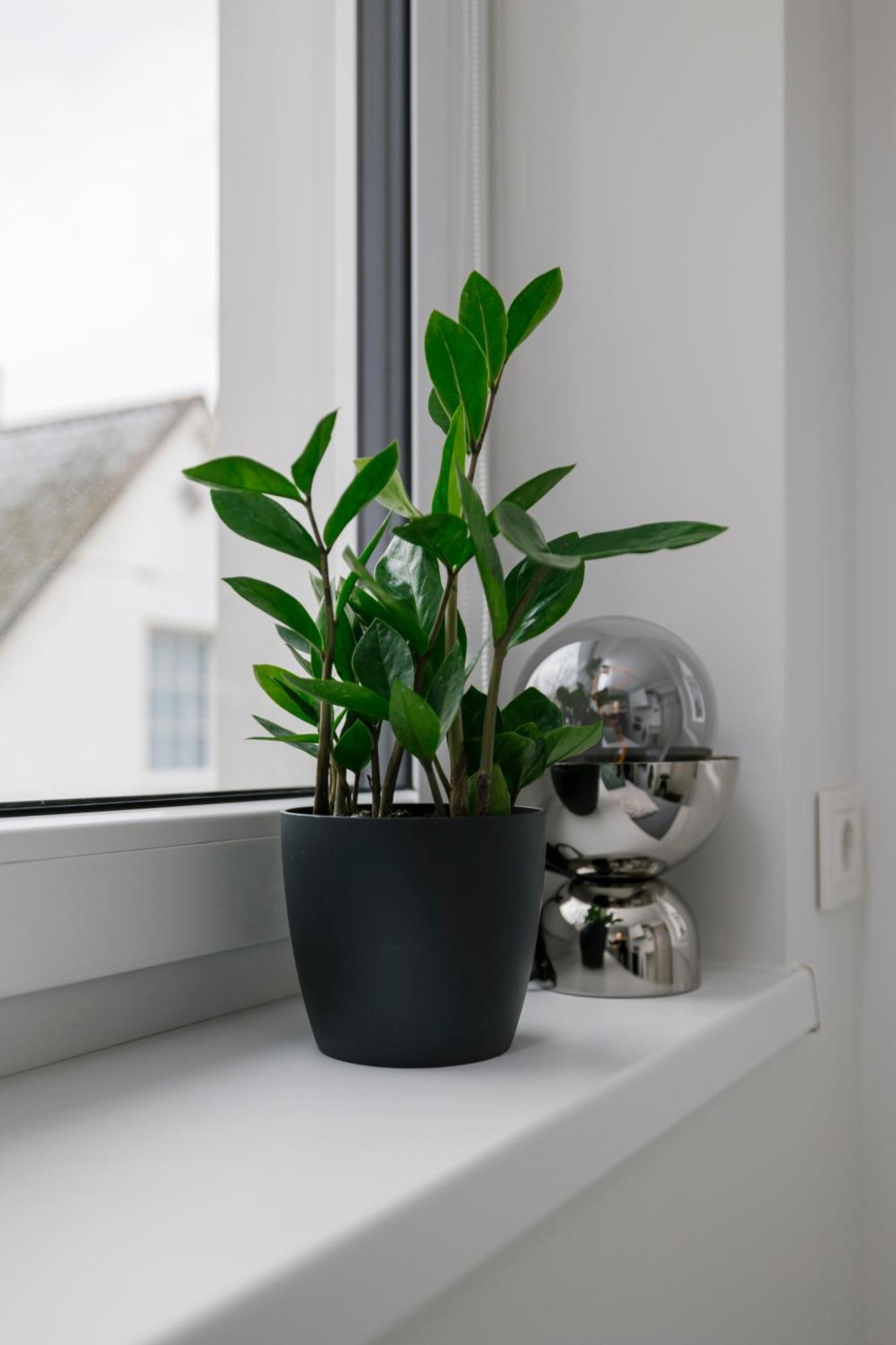 Apartment For One - White Tallinn Luaran gambar